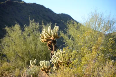 DSC_1835 (Large).JPG